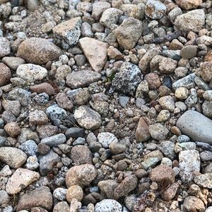 Meet your Posher, Gisel